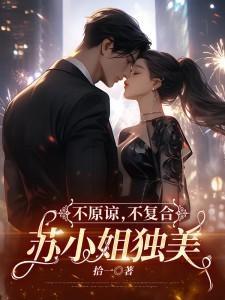 不原谅不复合苏小姐独美免费