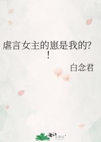 虐言女主的崽是我的?!作者白念君