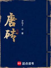 唐砖第二部
